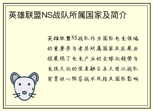 英雄联盟NS战队所属国家及简介