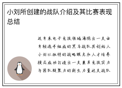 小刘所创建的战队介绍及其比赛表现总结